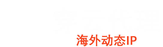 多设备多终端接入代理IP池服务器